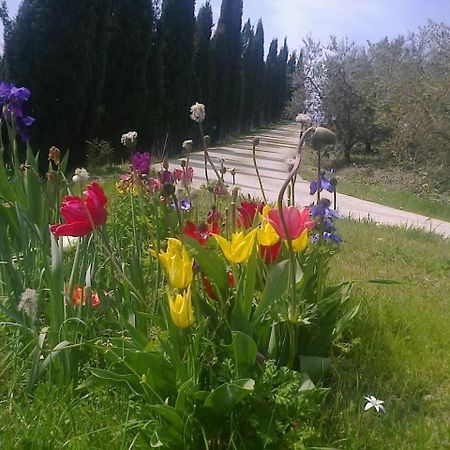 Residence Ai Campi Da Golf Saturnia Luaran gambar