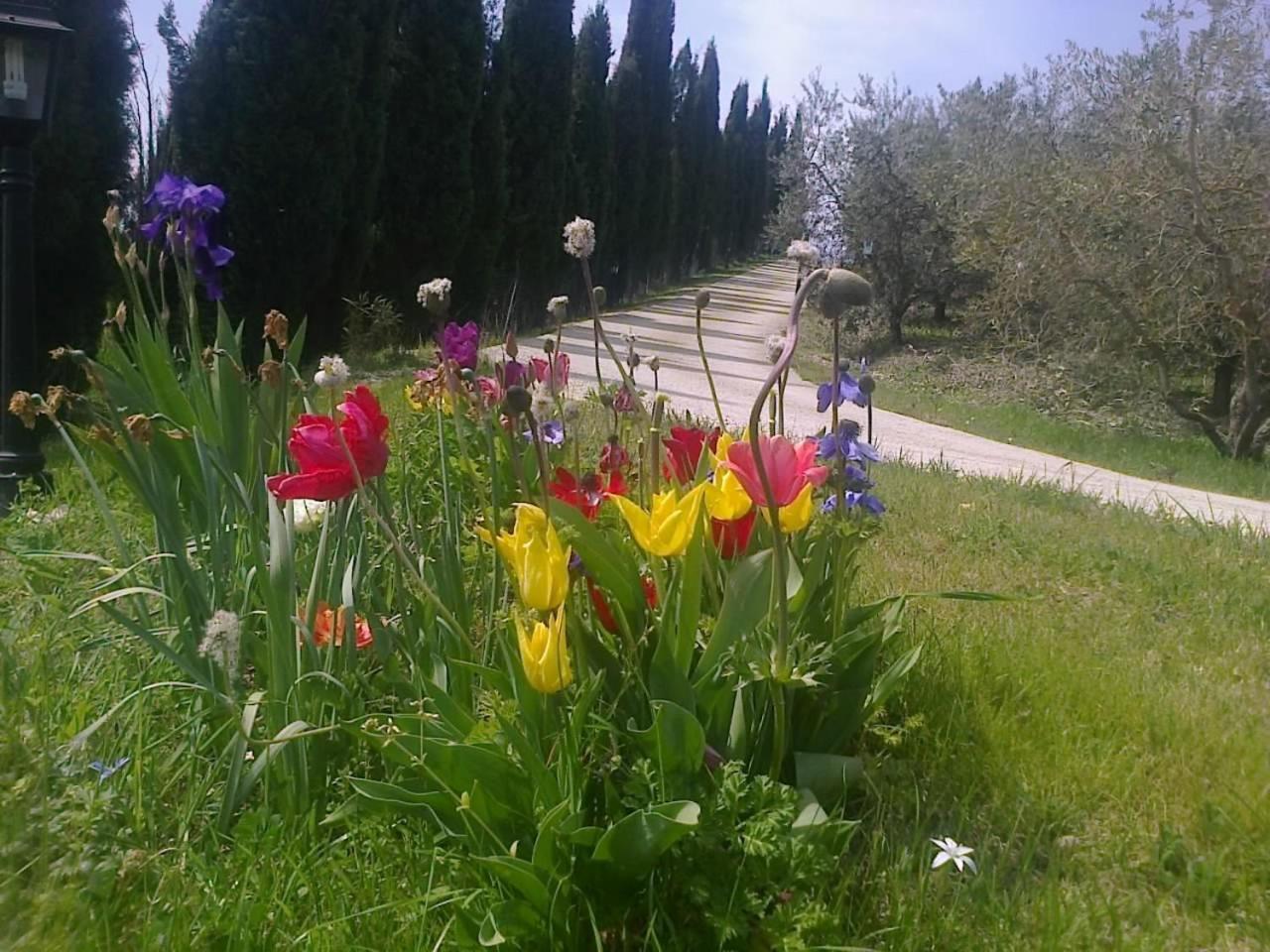 Residence Ai Campi Da Golf Saturnia Luaran gambar