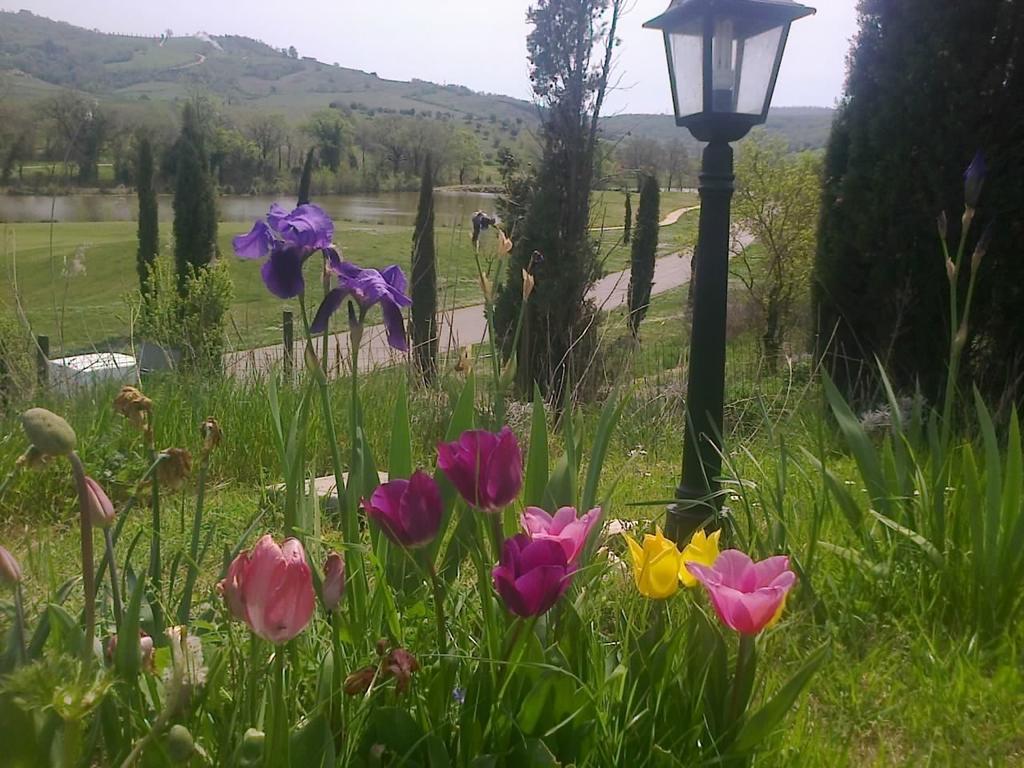 Residence Ai Campi Da Golf Saturnia Luaran gambar