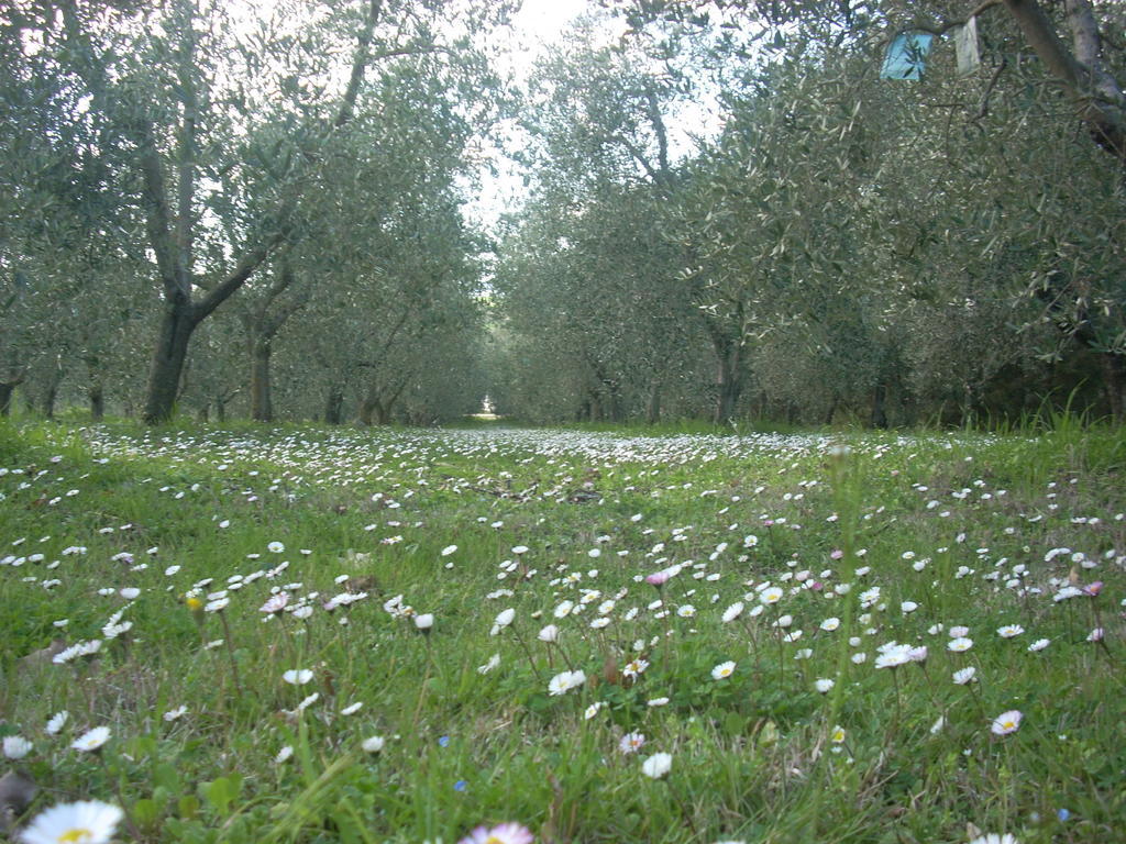 Residence Ai Campi Da Golf Saturnia Luaran gambar