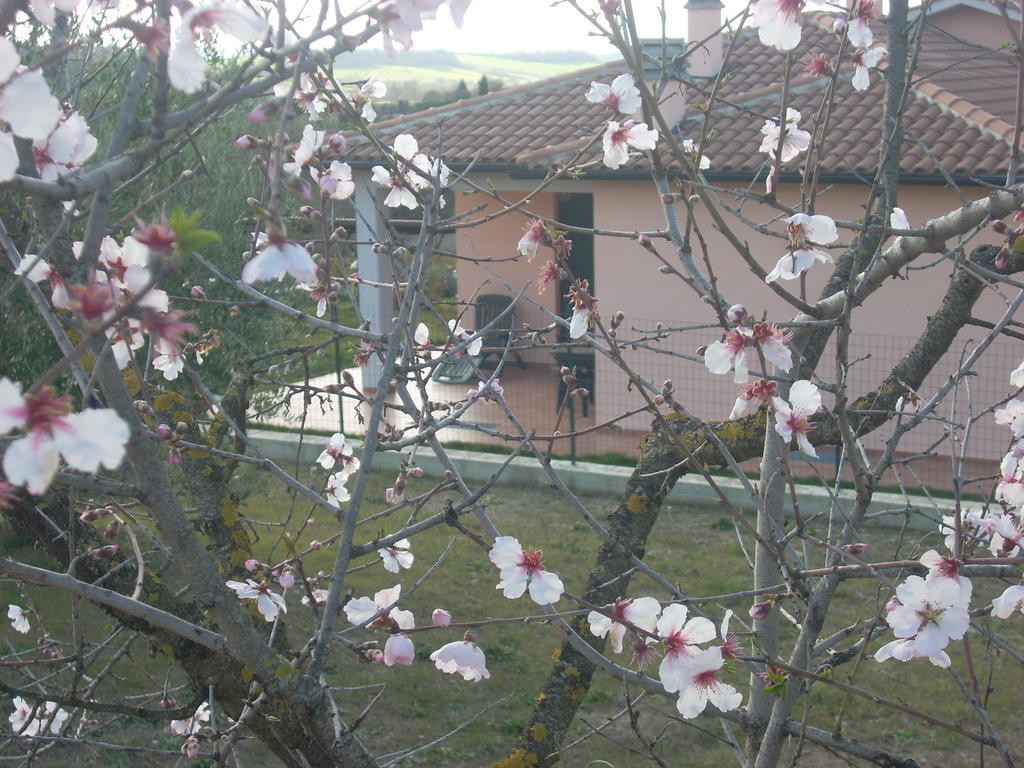 Residence Ai Campi Da Golf Saturnia Luaran gambar