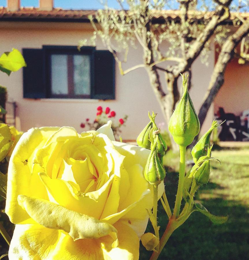 Residence Ai Campi Da Golf Saturnia Luaran gambar
